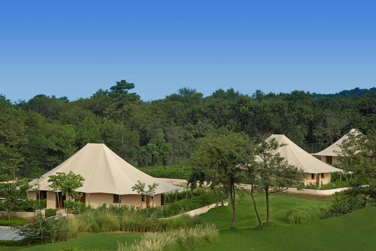 Wedding Planner in Chandigarh